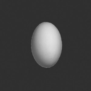 срл289